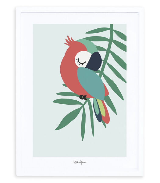 TROPICA - Affiche encadrée - Le perroquet (vert)
