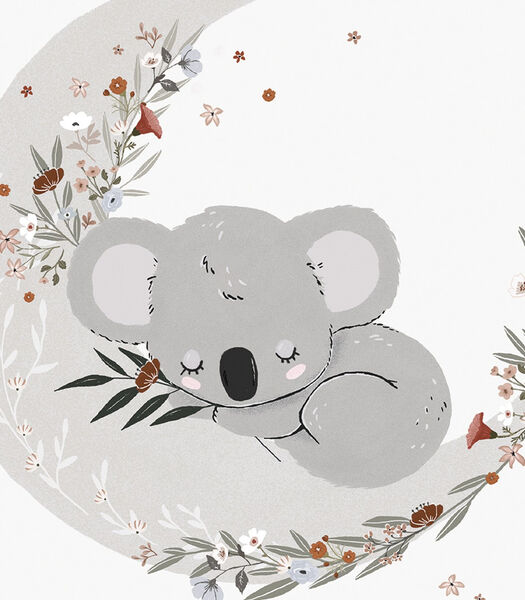 Affiche seule koala endormi Lilydale, Lilipinso