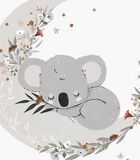 Affiche seule koala endormi Lilydale, Lilipinso image number 1