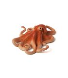 Sealife speelgoed Octopus - 387275 image number 0