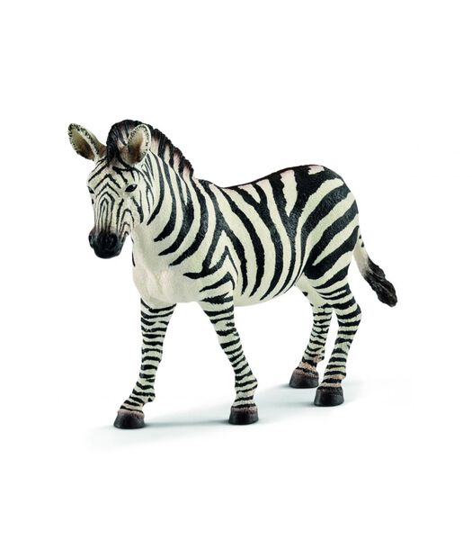 Safari - Zebra, Merrie 14810