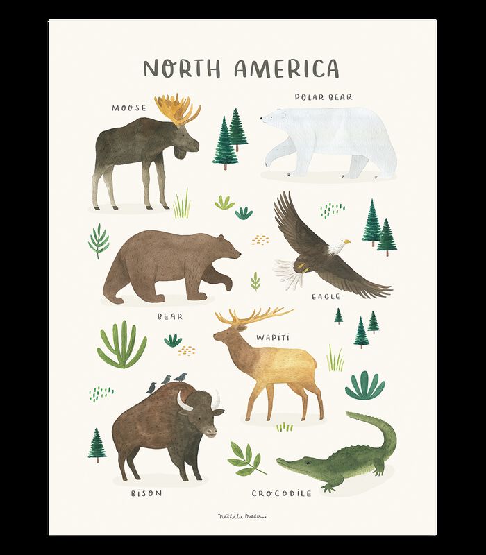 Affiche seule animaux Amérqiue du nord Living earth, Lilipinso image number 0