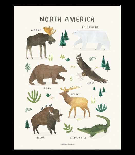 Affiche seule animaux Amérqiue du nord Living earth, Lilipinso