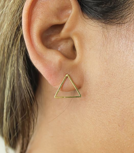 Boucles d'oreilles 'Damascus Earring'