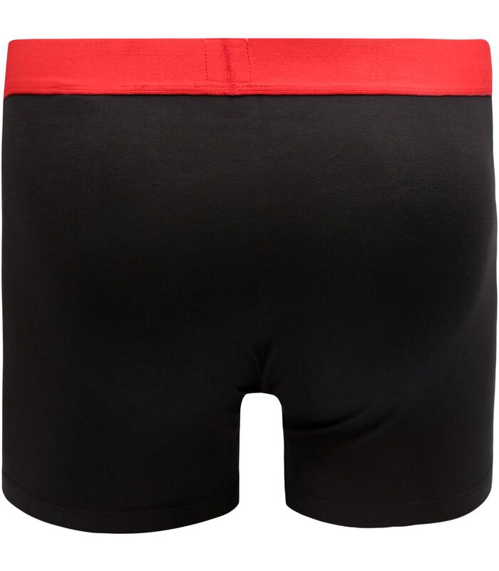 Short 2 pack Solid Basic Boxer Brief Organic Cotton image number 4