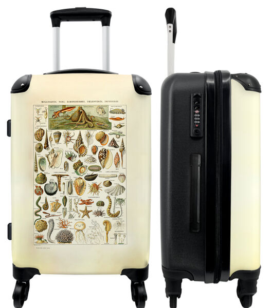 Bagage à main Valise avec 4 roues et serrure TSA (Animaux - Mer - Illustration - Corail - Coquillages - Vintage)