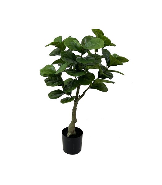 Kunstplant Ficus - Groen - 45x45x72cm