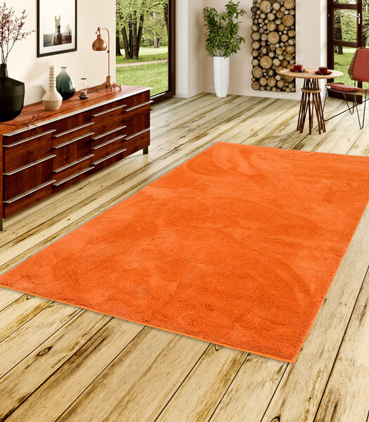 Luxe Superzacht hoogpolig langpolig tapijt Zijdezacht